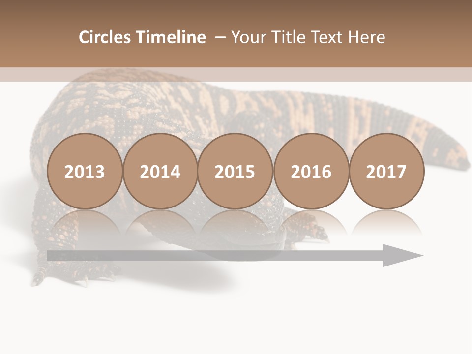 A Brown And Black Lizard On A White Background PowerPoint Template