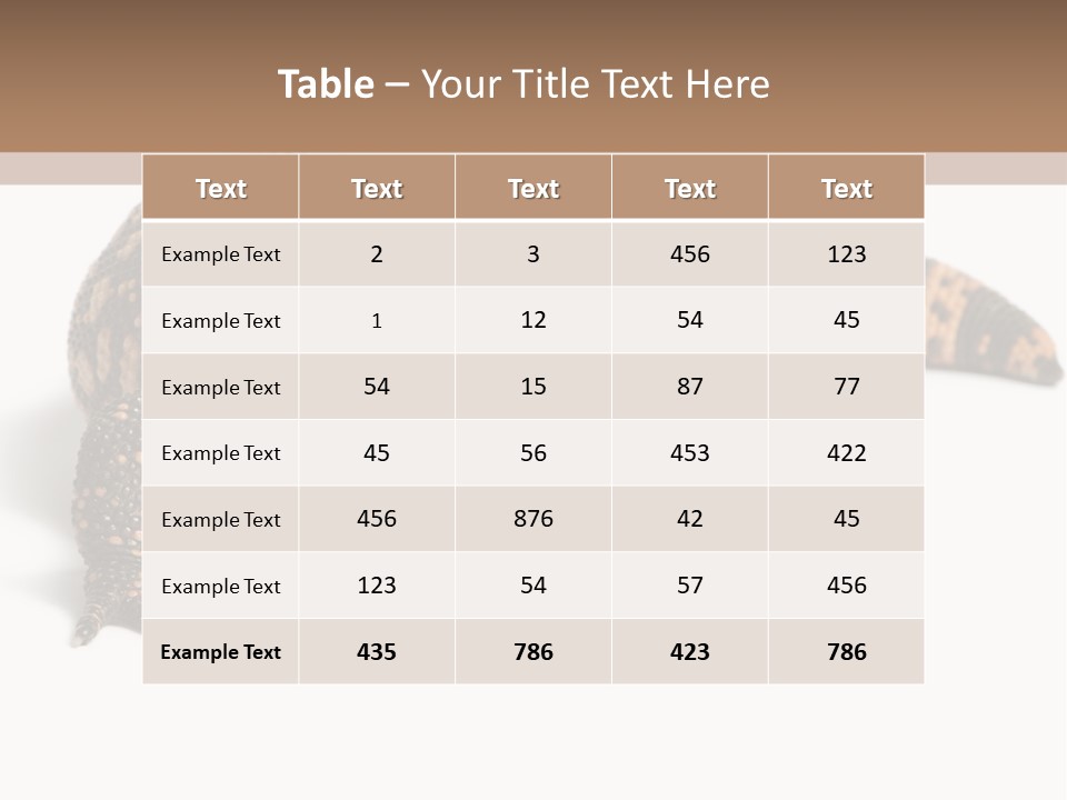 A Brown And Black Lizard On A White Background PowerPoint Template