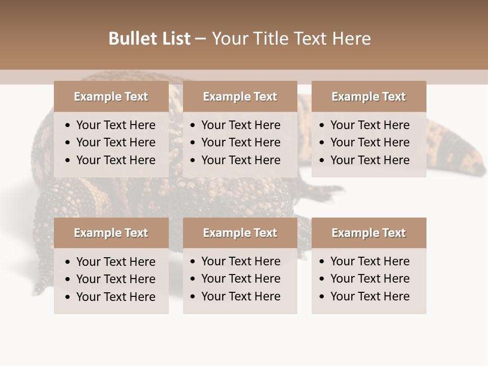 A Brown And Black Lizard On A White Background PowerPoint Template