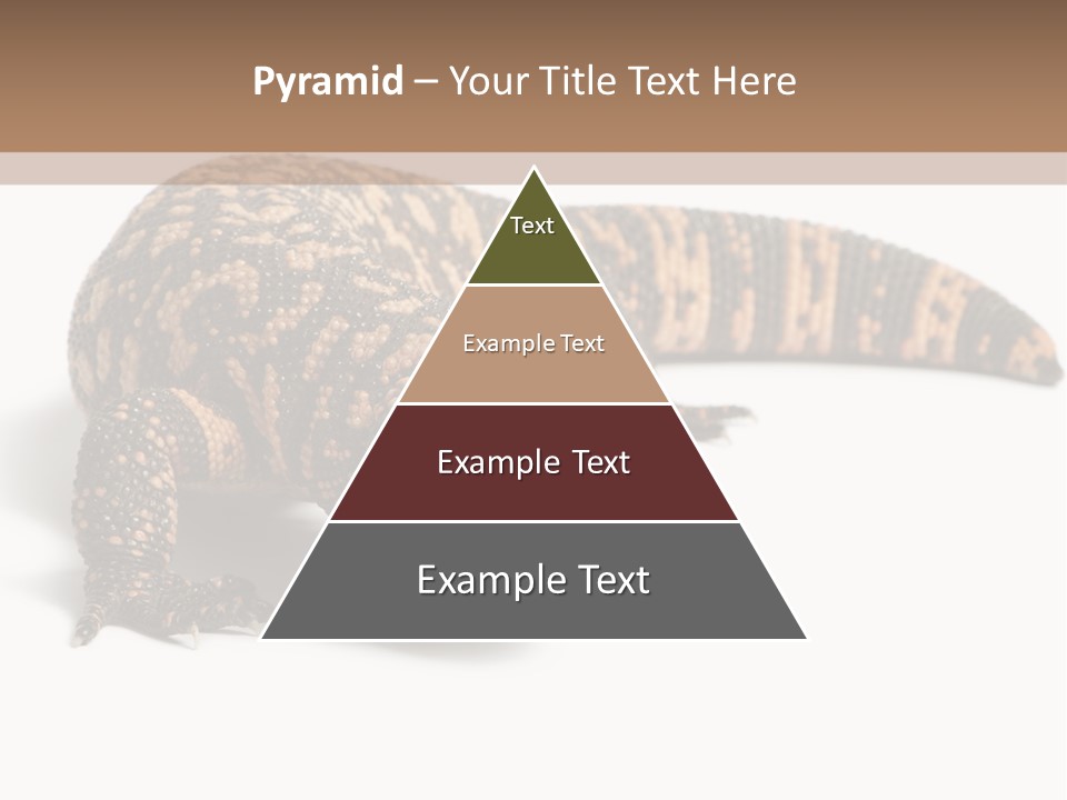 A Brown And Black Lizard On A White Background PowerPoint Template