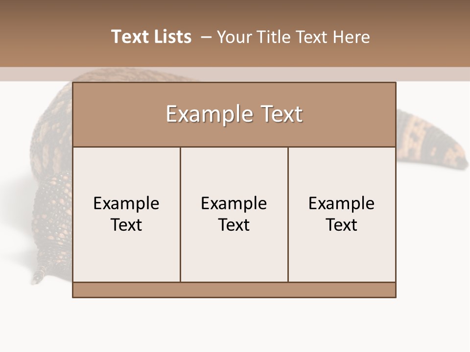 A Brown And Black Lizard On A White Background PowerPoint Template