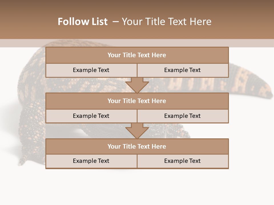 A Brown And Black Lizard On A White Background PowerPoint Template