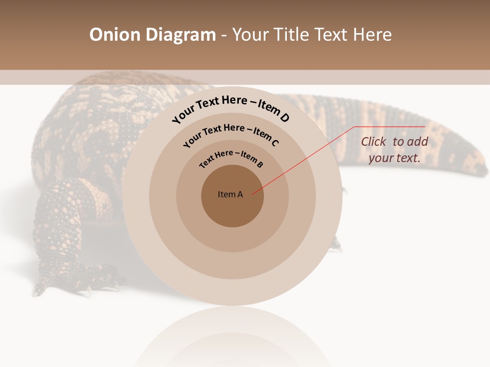 A Brown And Black Lizard On A White Background PowerPoint Template