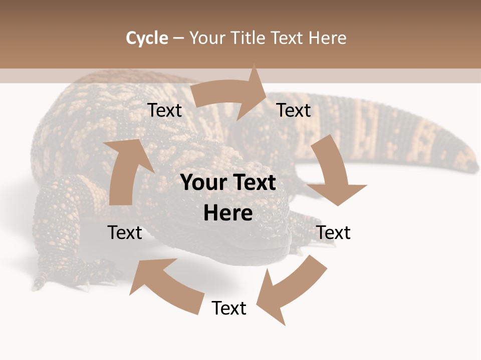 A Brown And Black Lizard On A White Background PowerPoint Template