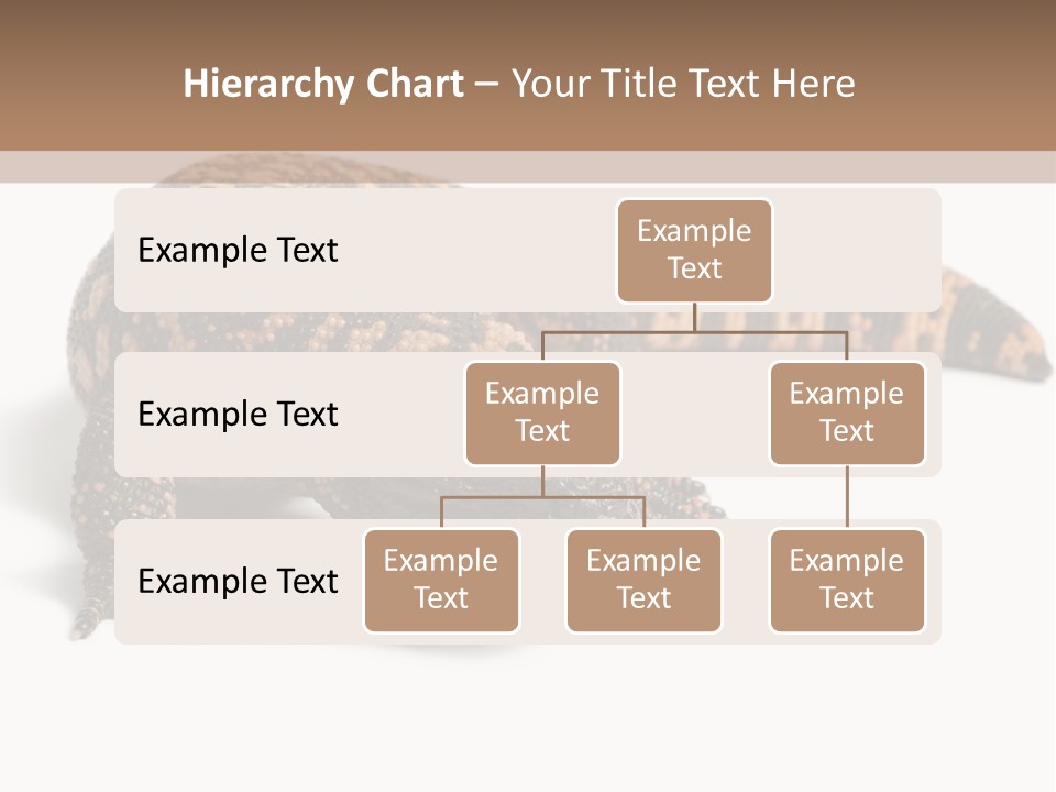 A Brown And Black Lizard On A White Background PowerPoint Template