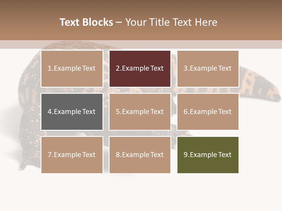 A Brown And Black Lizard On A White Background PowerPoint Template