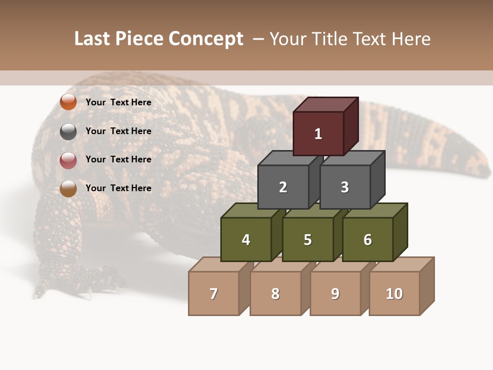 A Brown And Black Lizard On A White Background PowerPoint Template