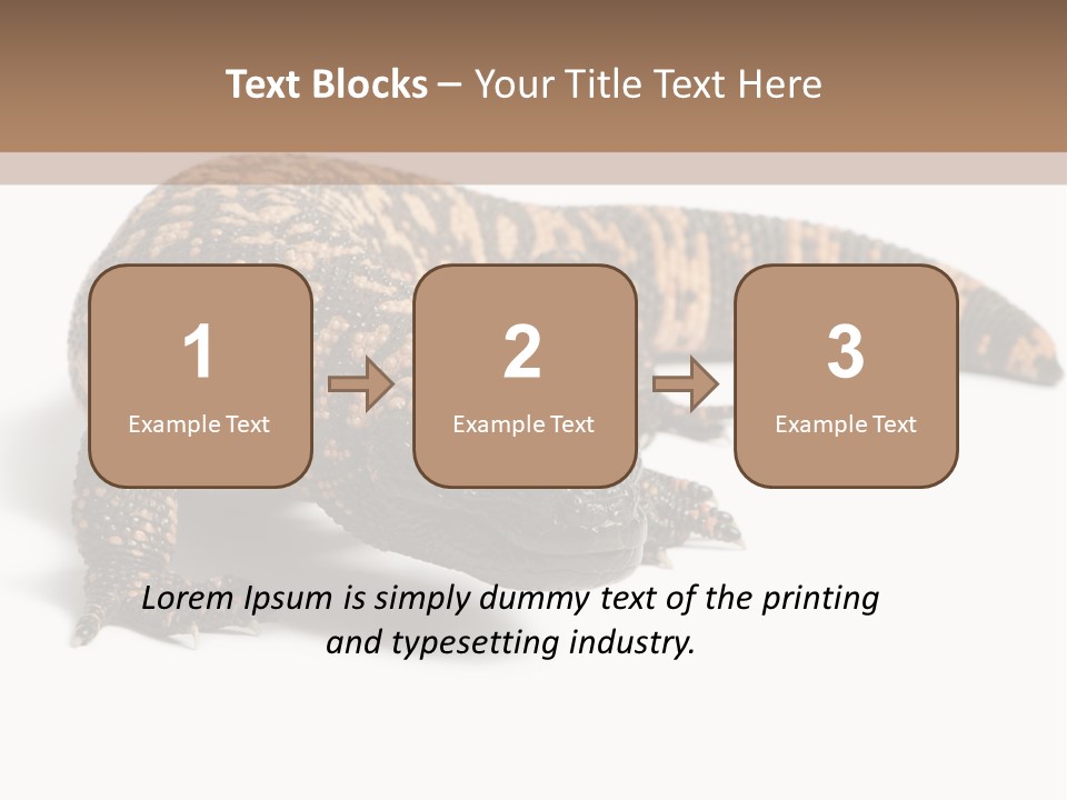 A Brown And Black Lizard On A White Background PowerPoint Template