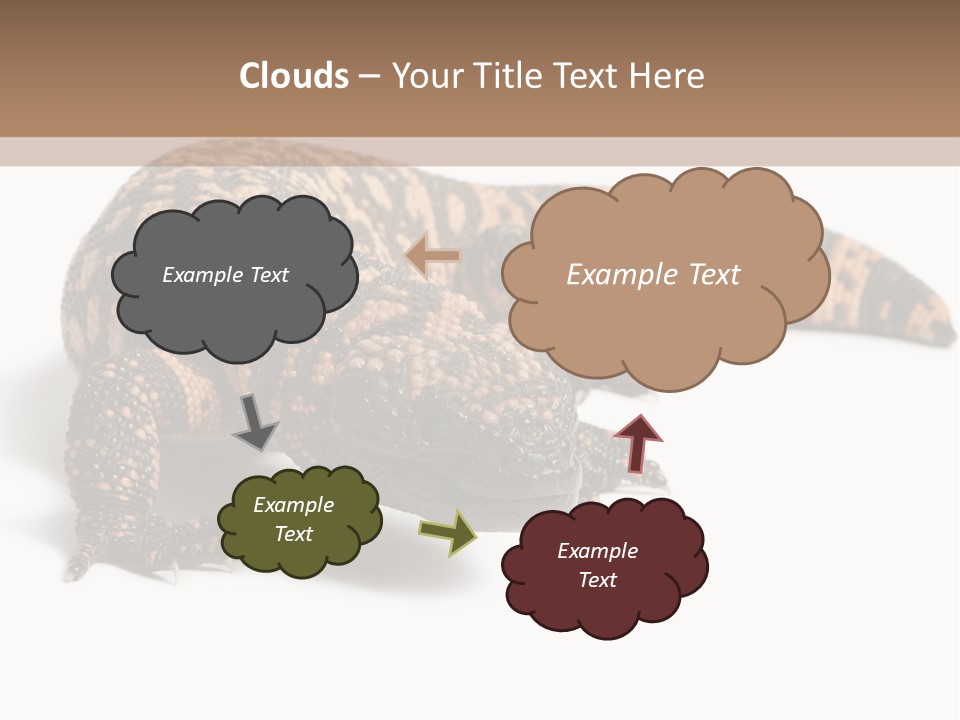 A Brown And Black Lizard On A White Background PowerPoint Template