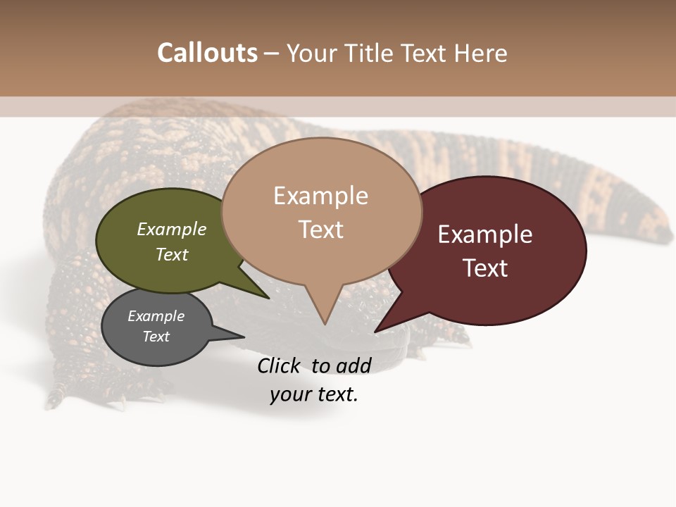 A Brown And Black Lizard On A White Background PowerPoint Template