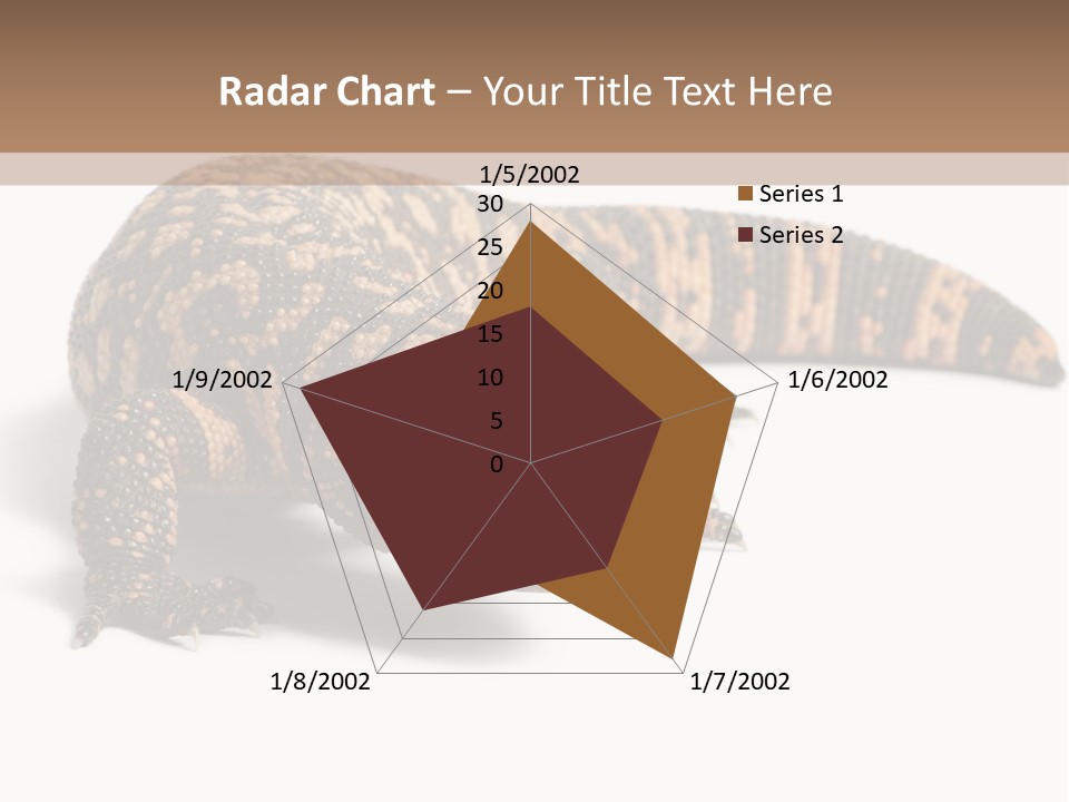 A Brown And Black Lizard On A White Background PowerPoint Template