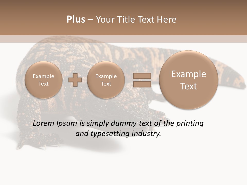 A Brown And Black Lizard On A White Background PowerPoint Template