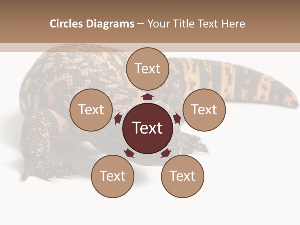 A Brown And Black Lizard On A White Background PowerPoint Template