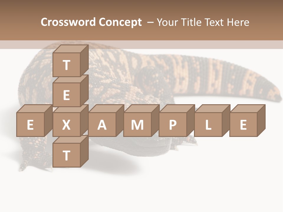 A Brown And Black Lizard On A White Background PowerPoint Template