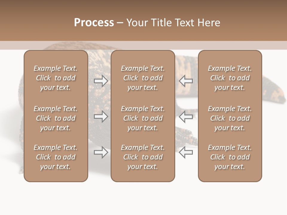A Brown And Black Lizard On A White Background PowerPoint Template