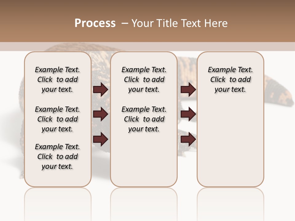 A Brown And Black Lizard On A White Background PowerPoint Template