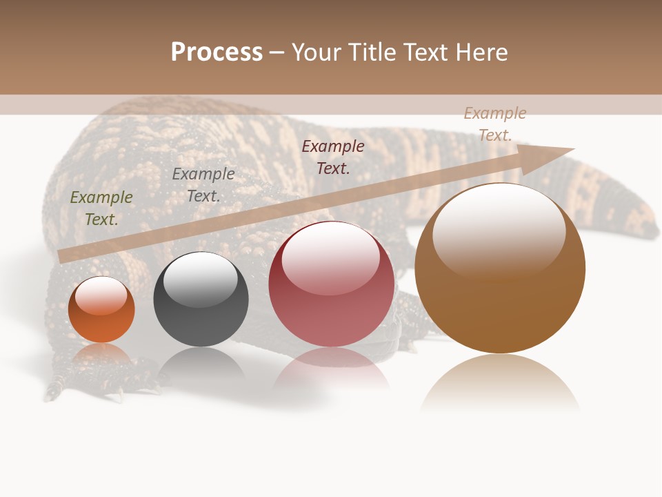 A Brown And Black Lizard On A White Background PowerPoint Template