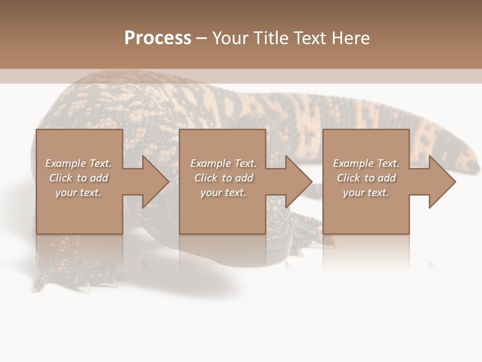 A Brown And Black Lizard On A White Background PowerPoint Template