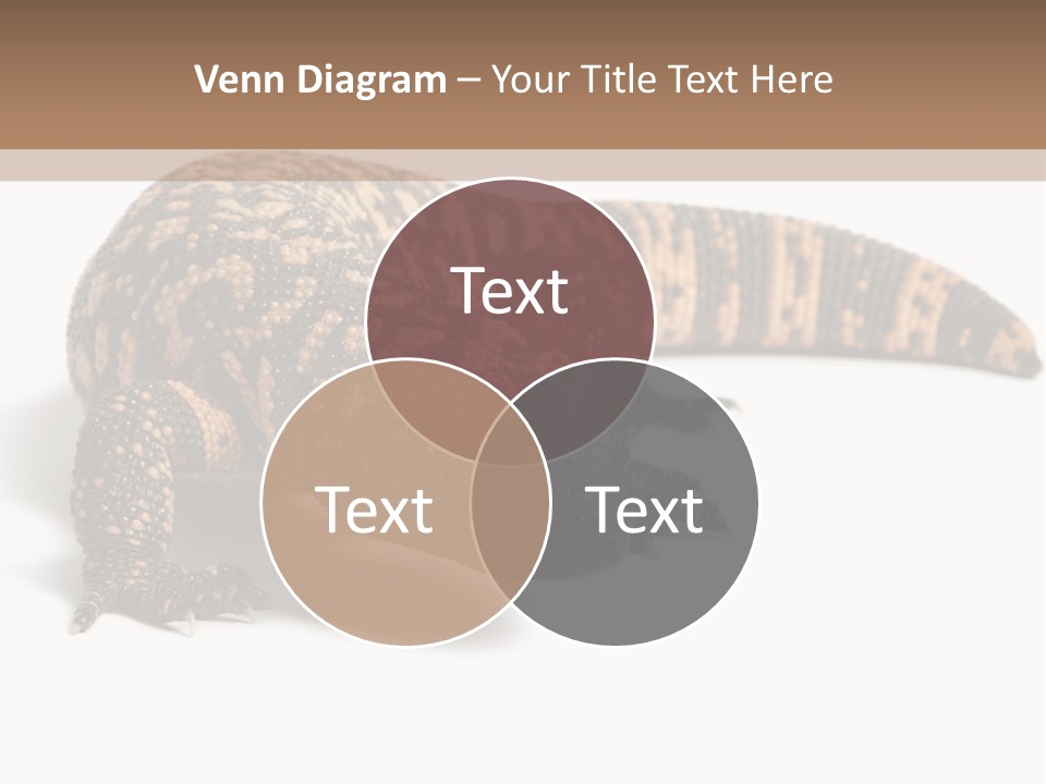 A Brown And Black Lizard On A White Background PowerPoint Template