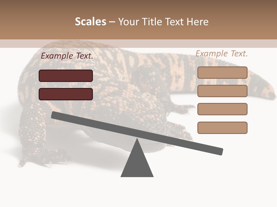 A Brown And Black Lizard On A White Background PowerPoint Template