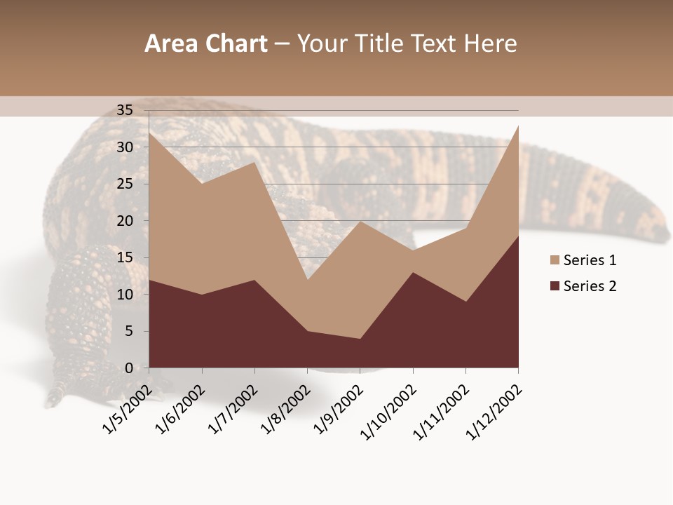 A Brown And Black Lizard On A White Background PowerPoint Template