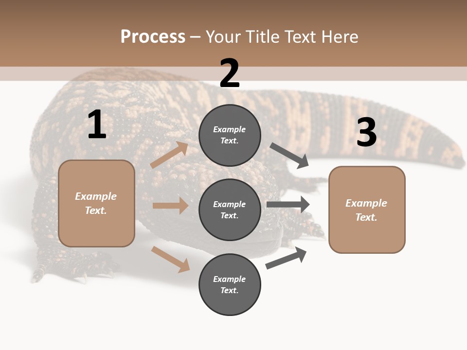 A Brown And Black Lizard On A White Background PowerPoint Template