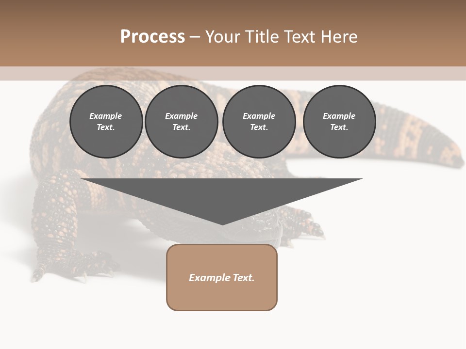 A Brown And Black Lizard On A White Background PowerPoint Template