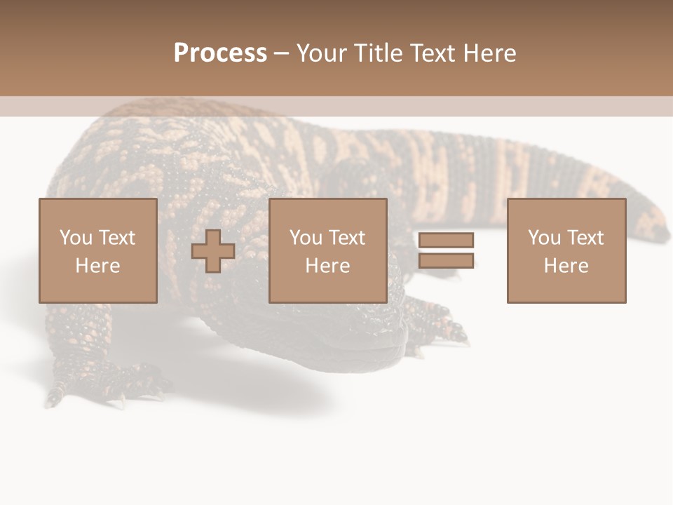 A Brown And Black Lizard On A White Background PowerPoint Template
