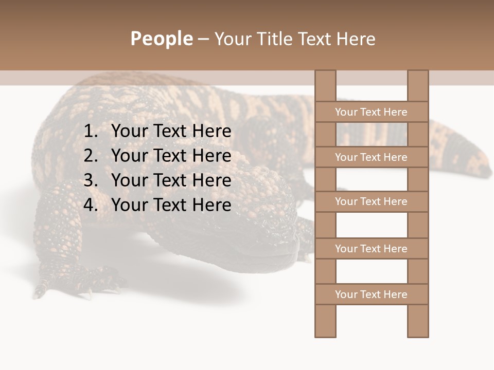 A Brown And Black Lizard On A White Background PowerPoint Template