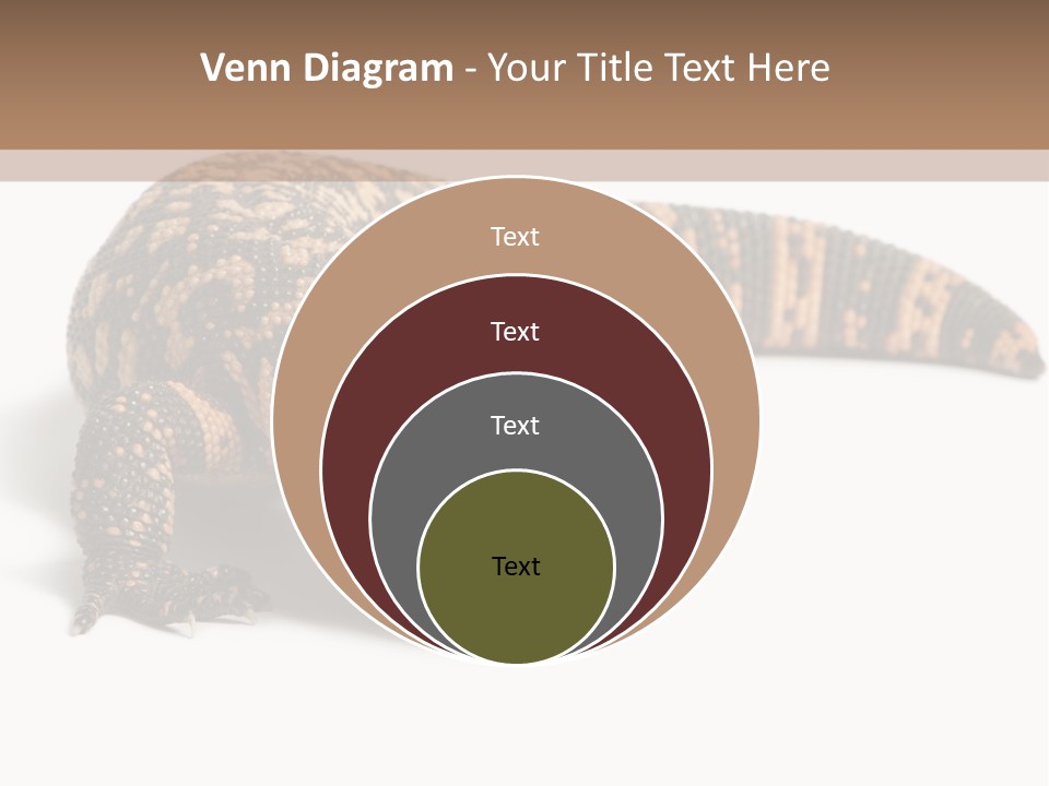 A Brown And Black Lizard On A White Background PowerPoint Template