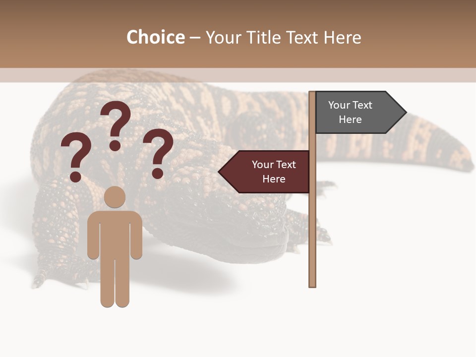 A Brown And Black Lizard On A White Background PowerPoint Template