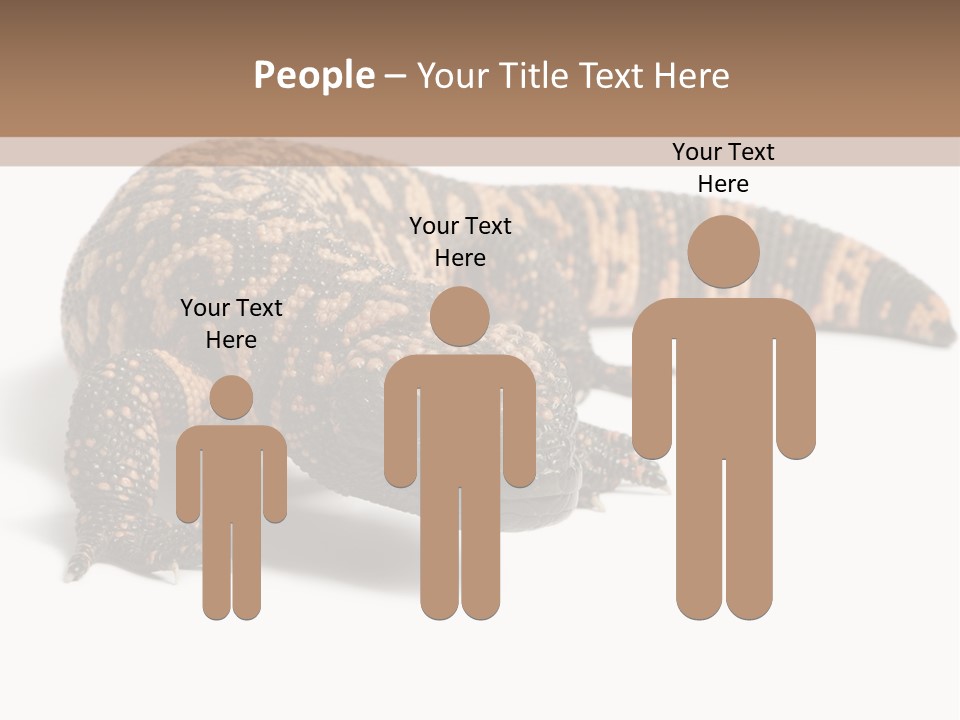 A Brown And Black Lizard On A White Background PowerPoint Template