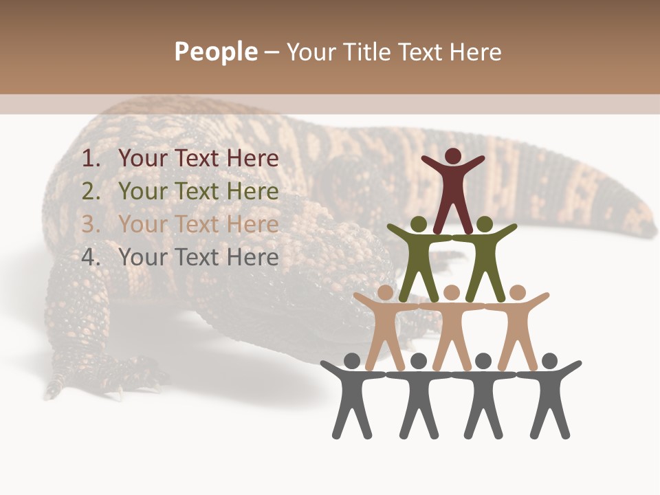 A Brown And Black Lizard On A White Background PowerPoint Template