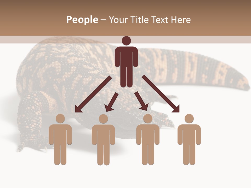 A Brown And Black Lizard On A White Background PowerPoint Template