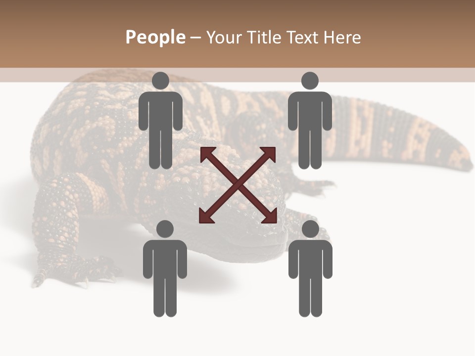 A Brown And Black Lizard On A White Background PowerPoint Template