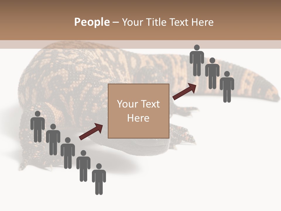 A Brown And Black Lizard On A White Background PowerPoint Template