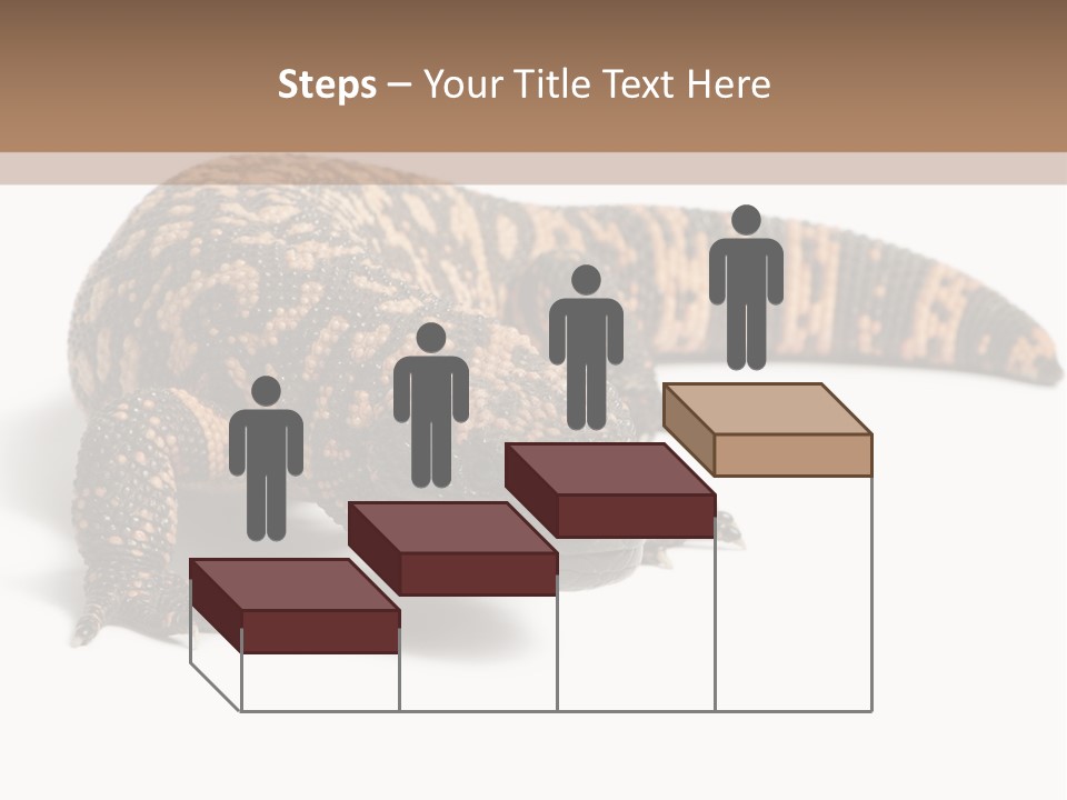 A Brown And Black Lizard On A White Background PowerPoint Template