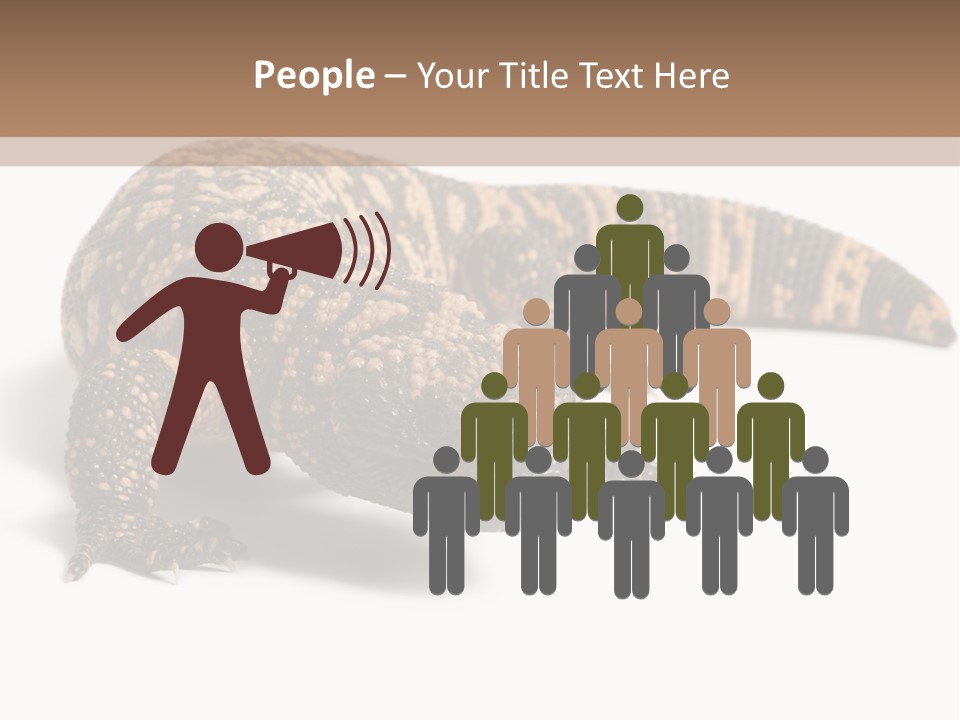 A Brown And Black Lizard On A White Background PowerPoint Template