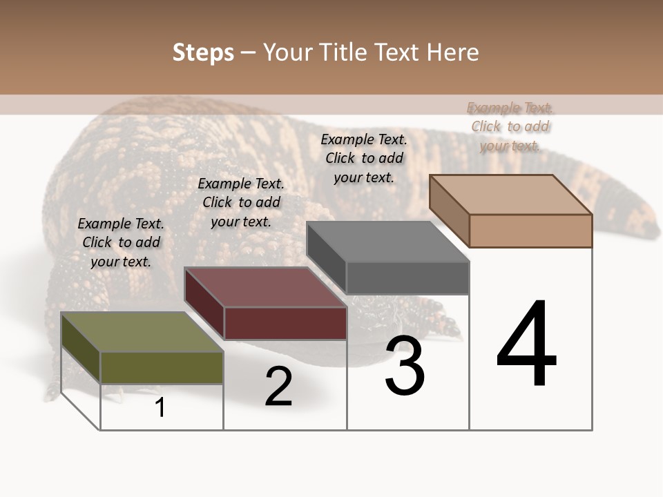 A Brown And Black Lizard On A White Background PowerPoint Template