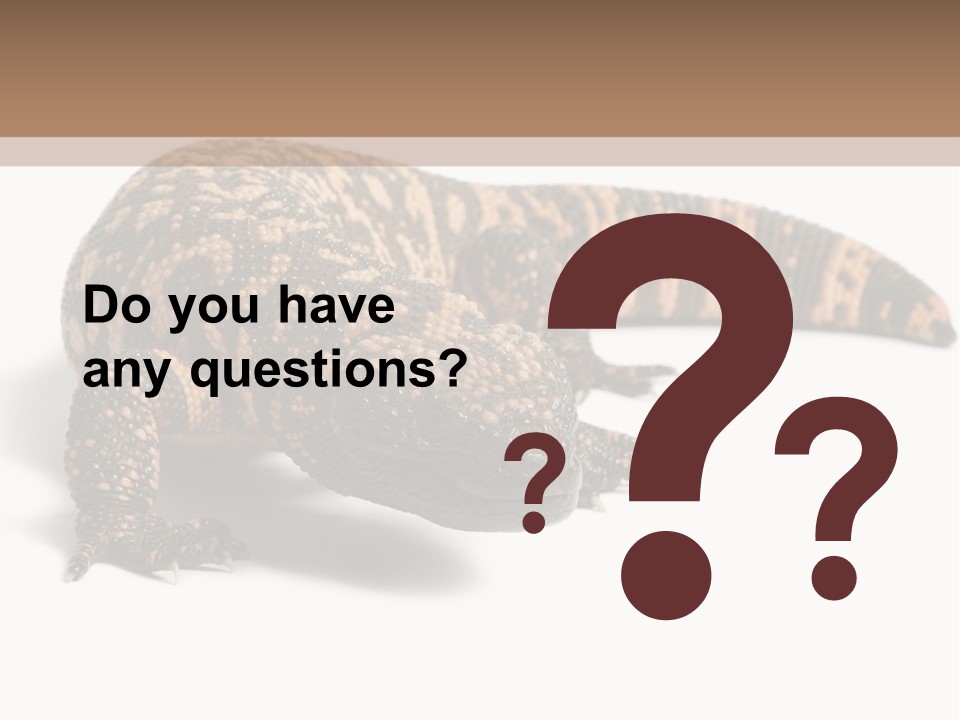 A Brown And Black Lizard On A White Background PowerPoint Template