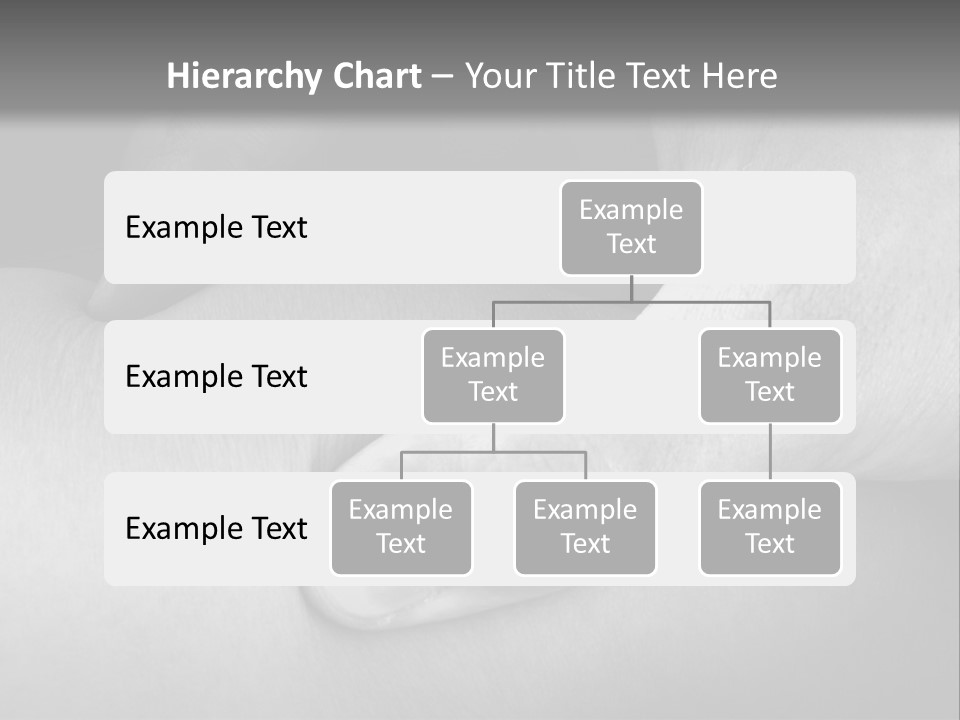 Background World Life PowerPoint Template
