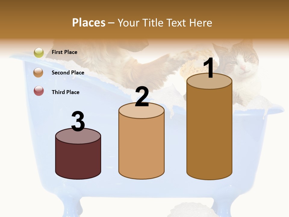 White Background Copy Space Basin PowerPoint Template