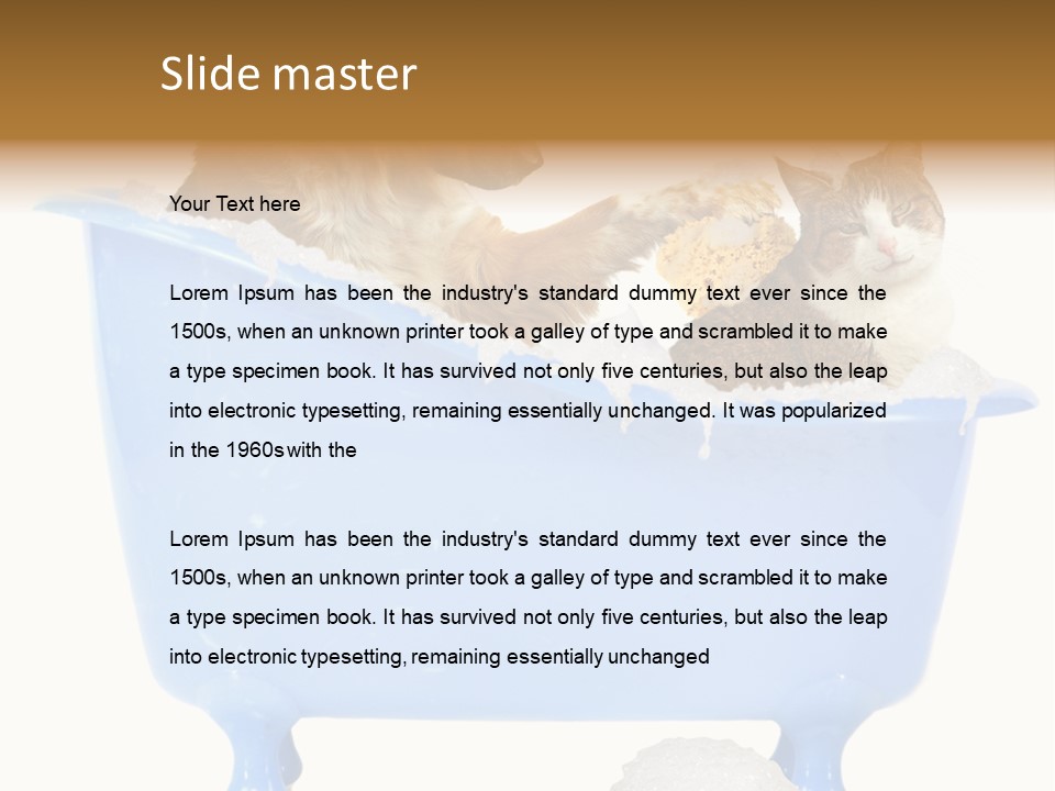 White Background Copy Space Basin PowerPoint Template