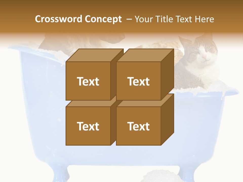 White Background Copy Space Basin PowerPoint Template