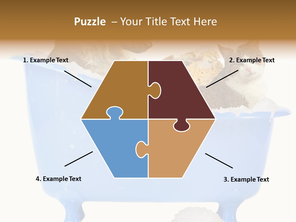 White Background Copy Space Basin PowerPoint Template