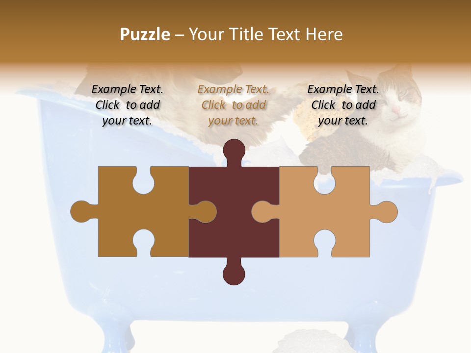 White Background Copy Space Basin PowerPoint Template