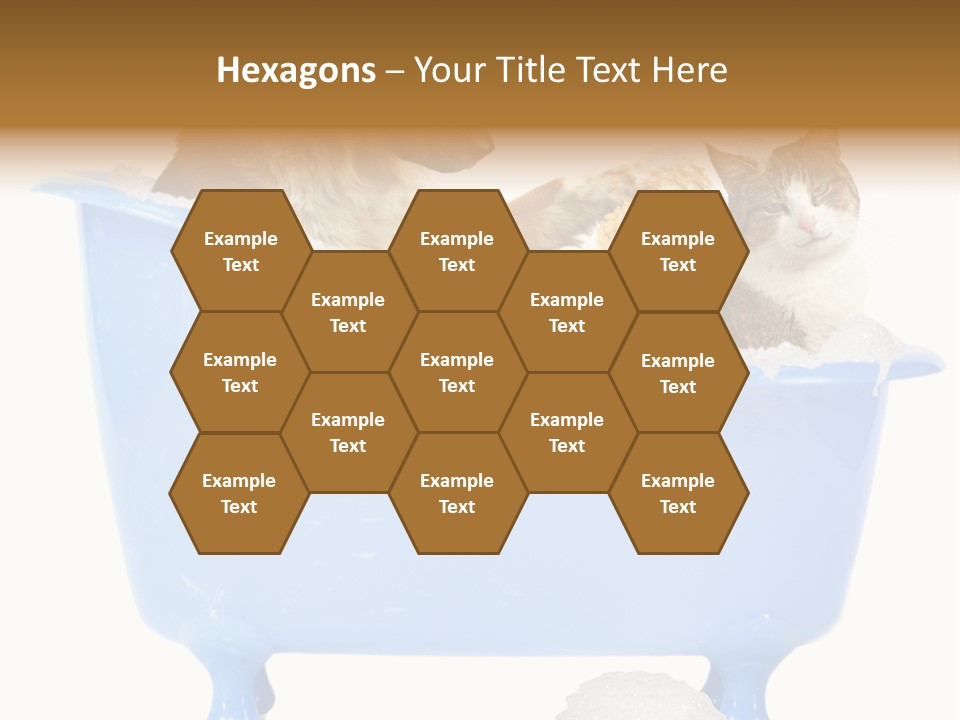 White Background Copy Space Basin PowerPoint Template