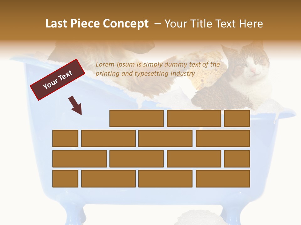 White Background Copy Space Basin PowerPoint Template