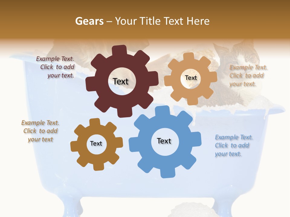 White Background Copy Space Basin PowerPoint Template