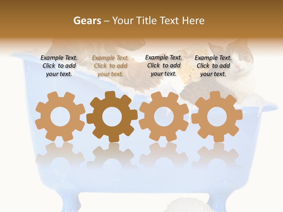 White Background Copy Space Basin PowerPoint Template